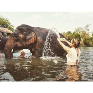 Meet your Posher, Ashlyn